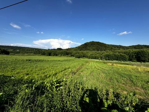 ділянка за адресою Брідок