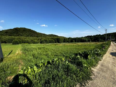 ділянка за адресою Брідок