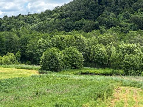 ділянка за адресою Брідок