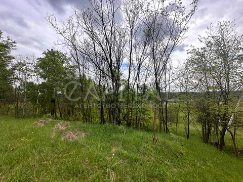 участок по адресу паркова алея, 36