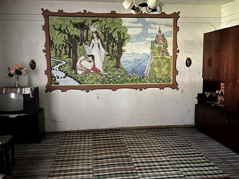 ділянка за адресою смт. Ясіня, Віктора Файбиша вул. (Визволення), 157