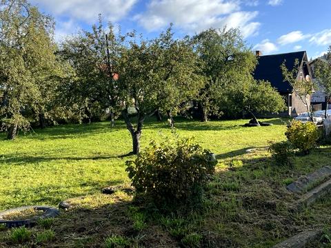 ділянка за адресою смт. Ясіня, Віктора Файбиша вул. (Визволення), 157