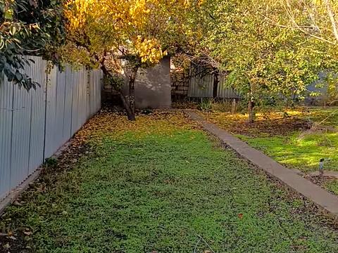 дом по адресу Амбулаторный пер., 13