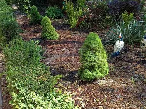 будинок за адресою Бучанське шосе