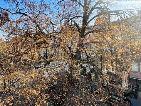 квартира за адресою Костянтинівська вул., 22/17