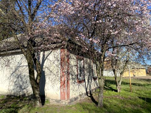 дом по адресу Шевченка