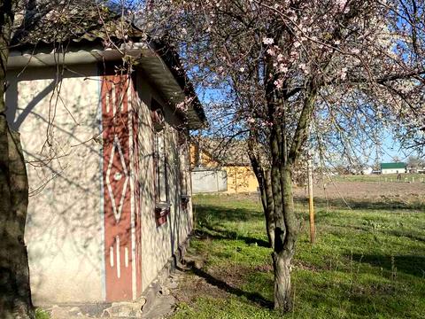 дом по адресу Шевченка