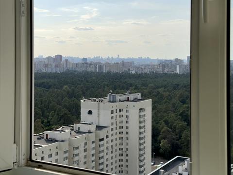 квартира по адресу Бориса Антоненка-Давидовича ул., 1