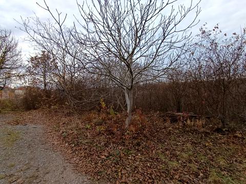 участок по адресу Катионовская ул., 35-В