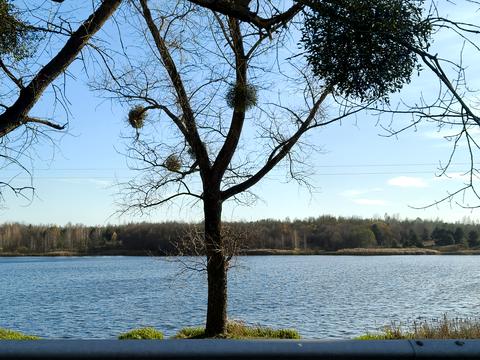 будинок за адресою Миру, 7