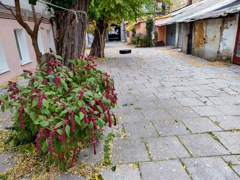 будинок за адресою Одеса, Середня вул.