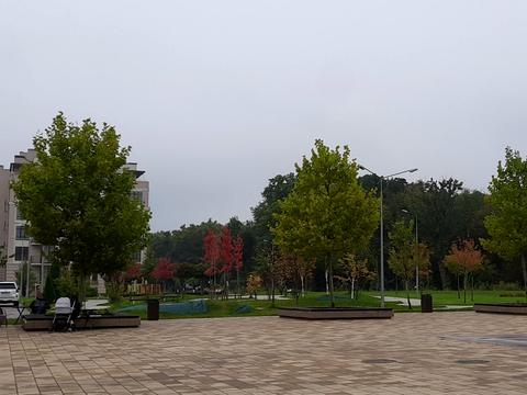 квартира за адресою Метрологічна вул., 40-Б