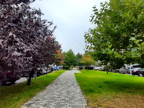 квартира за адресою Метрологічна вул., 40-Б