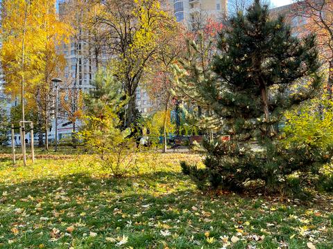 квартира за адресою Богдана Хмельницького вул., 58-А