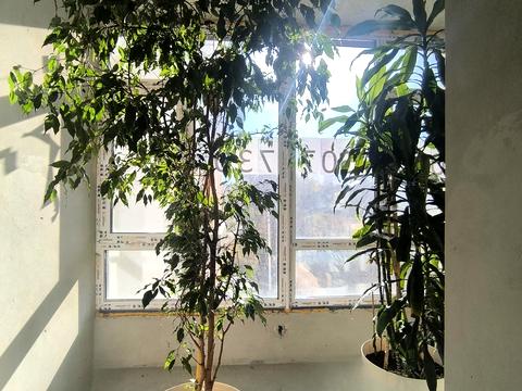 квартира по адресу Августина Волошина ул., 2