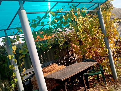 дом по адресу Бобровица, Зоряна