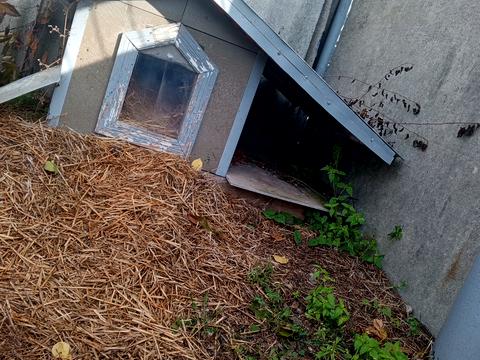 дом по адресу Бобровица, Зоряна