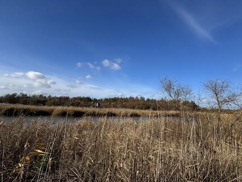 дом по адресу Гетьманська, 8