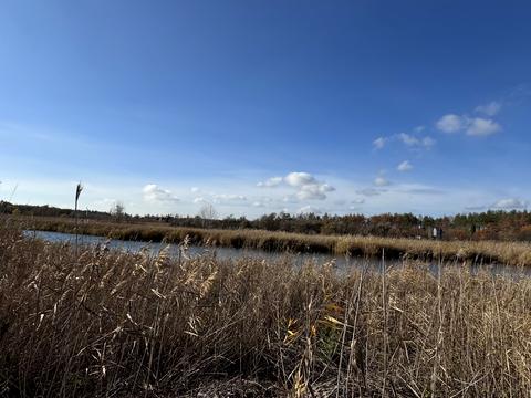 дом по адресу Гетьманська, 8