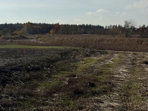 дом по адресу Гетьманська, 8