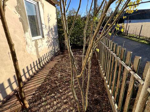 дом по адресу 3 линия