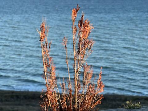 дом по адресу 3 линия