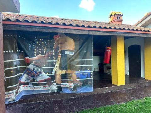 дом по адресу с. Петропавловская борщаговка, Зелений Гай