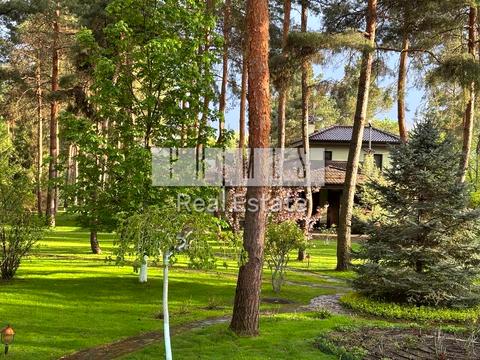 дом по адресу Мира ул.