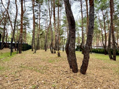 ділянка за адресою смт. Обухівка, Березовий провулок