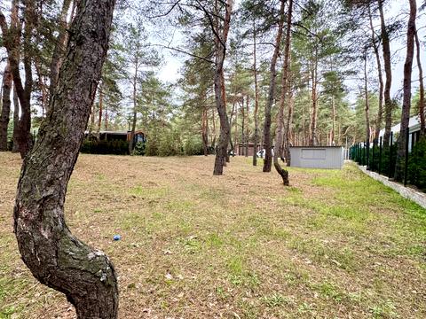 ділянка за адресою смт. Обухівка, Березовий провулок