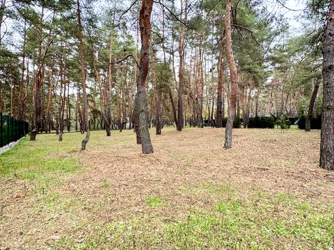 ділянка за адресою смт. Обухівка, Березовий провулок