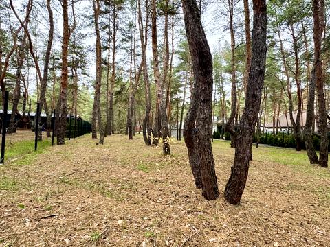 ділянка за адресою смт. Обухівка, Березовий провулок