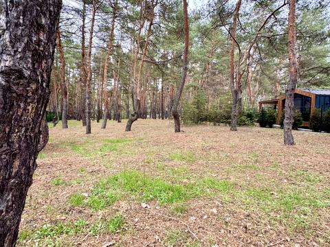 ділянка за адресою смт. Обухівка, Березовий провулок