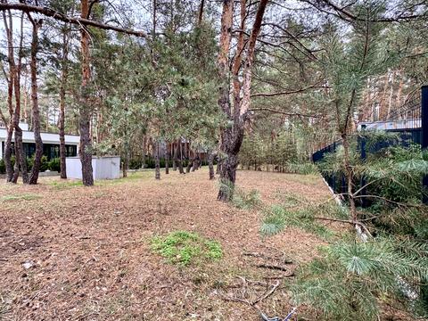 ділянка за адресою смт. Обухівка, Березовий провулок