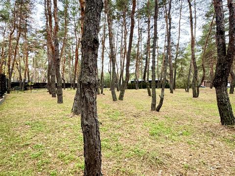 ділянка за адресою смт. Обухівка, Березовий провулок