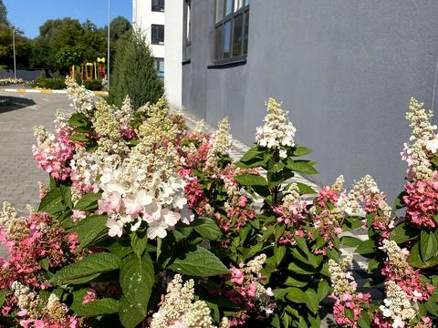 квартира за адресою Мирна вул., 3-А