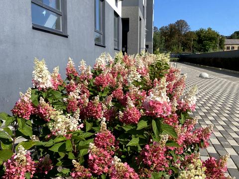 квартира за адресою Мирна вул., 3-А