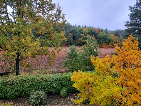 будинок за адресою Садова, 4