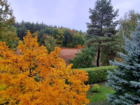 будинок за адресою Садова, 4