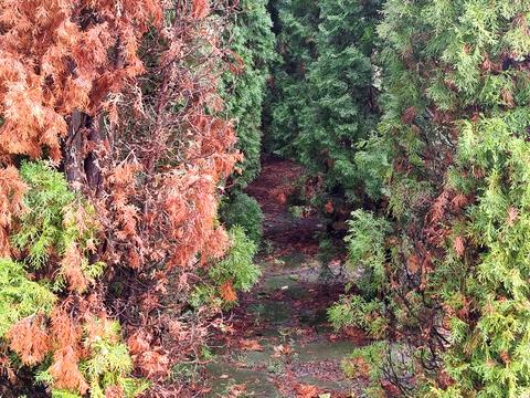 будинок за адресою Садова, 4