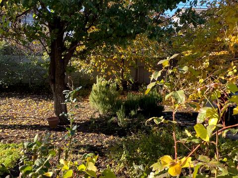 дом по адресу Николая Боровского ул., 36а