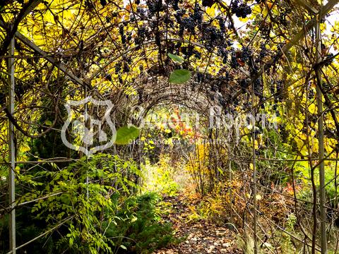 будинок за адресою с. Пухівка, Лісова, 1