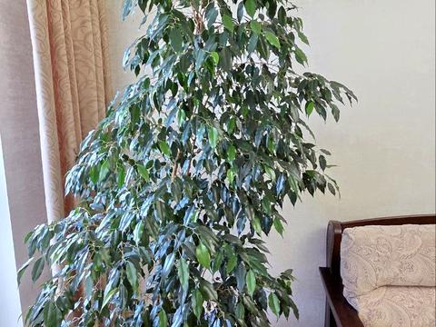 квартира за адресою Європейського Союзу просп. (Правди), 17