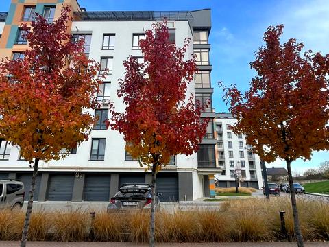 квартира за адресою Тараса Шевченка вул., 113