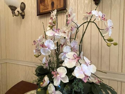 квартира по адресу Черниговская ул., 23а