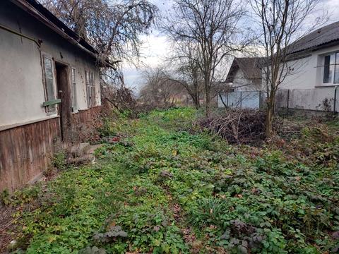 ділянка за адресою Липова