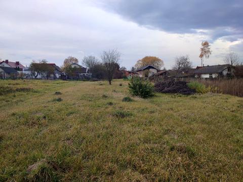 ділянка за адресою Липова