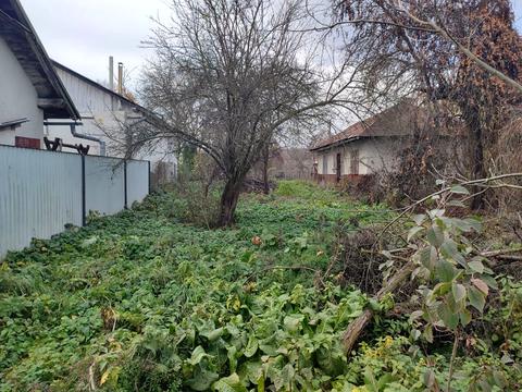 ділянка за адресою Липова