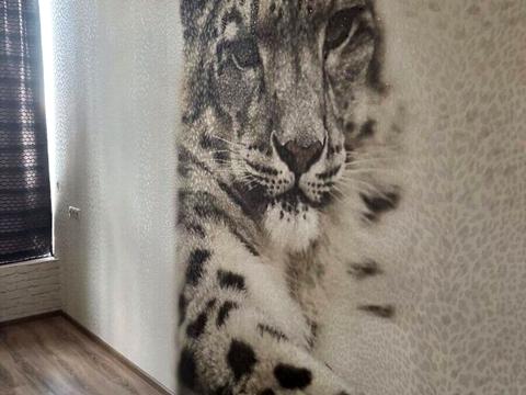 квартира за адресою Французський, 60Б