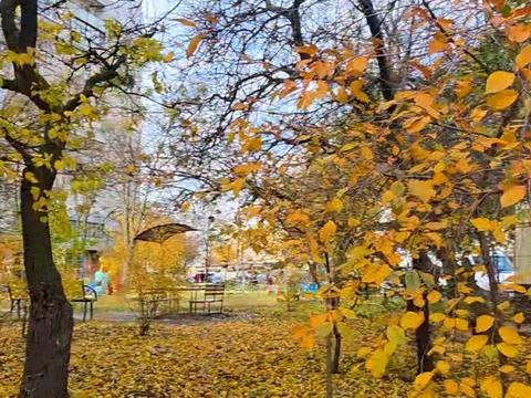 квартира по адресу Танкопия ул. (Танкопія), 24